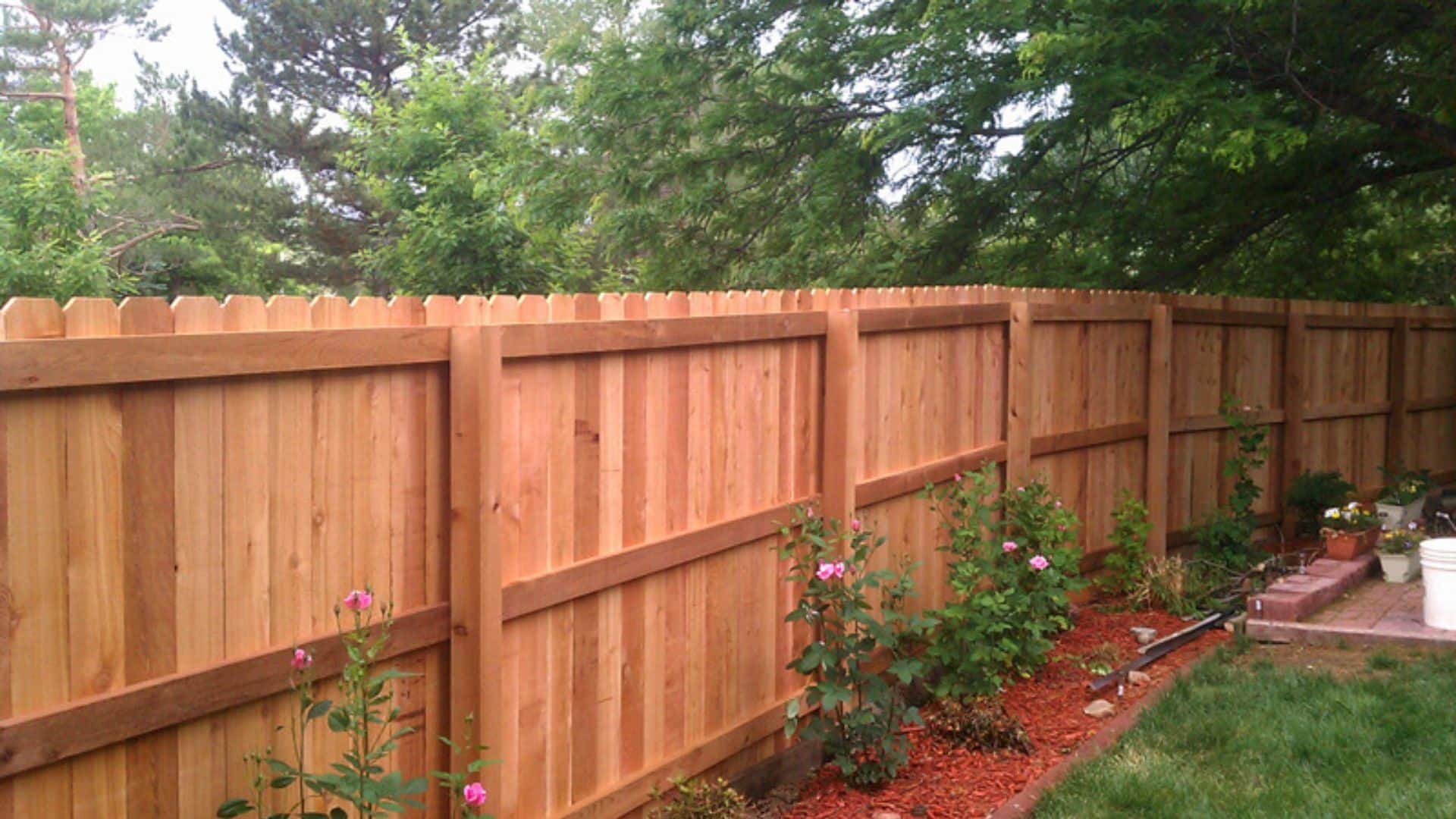 Privacy Fence