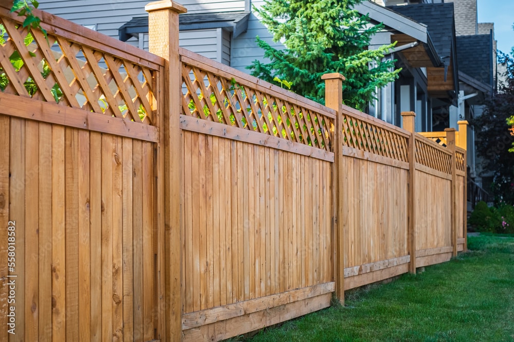 Privacy Fence