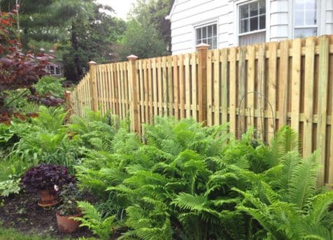 Copper Wood Fence