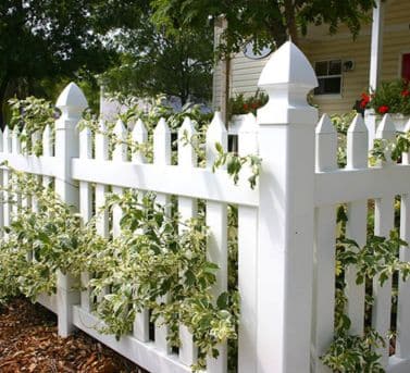 Vinyl Picket Fence